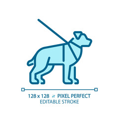 Obraz premium Guide dog light blue icon. Visual impairment, support animal. Pet training. Blindness support services. RGB color sign. Simple design. Web symbol. Contour line. Flat illustration. Isolated object