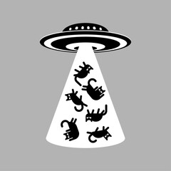 UFO steals cat. Aliens abducting cats.