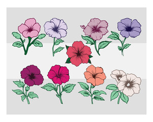 Petunia Clipart  SVG Bundle, Petunia Silhouette, Petunia Flower, Petunia Clipart, Flower Svg, Petunia Png, Petunia image Svg, Cut Files