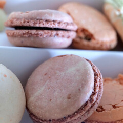 macarons industriels