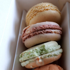 macarons à déguster