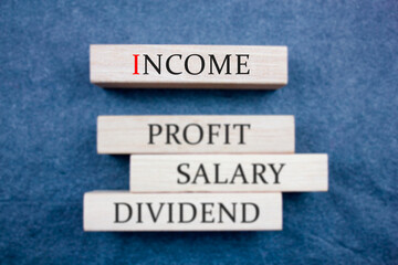 INCOME text, inscription, profit, salary, dividend, on wooden blocks in blur. Income concept.