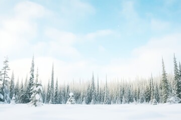 heavy snowfall over a coniferous forest in a cold zone