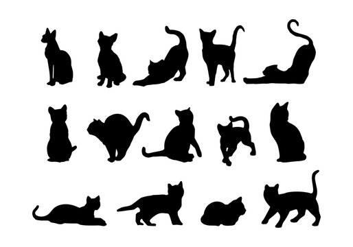 Set of silhouettes of cats. Cats in different poses. Vector isolated background. EPS 10.
