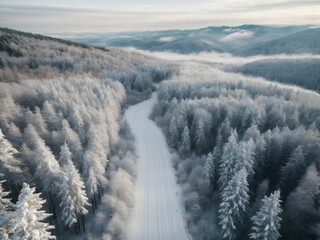 Aerial view of snowy forest with a road. Captured from above with a drone.