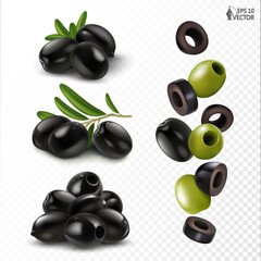 Vector set of black olives on a branch, pickled pitted olives, falling pieces. 3D realistic food illustrations for packaging and advertising design