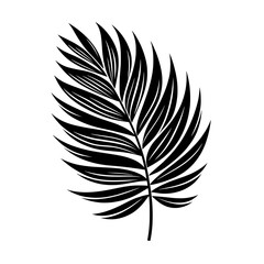 Simple black vector silhouette of palm leaf isolated on a transparent background – Exotic tropical plant