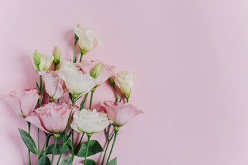 Beautiful white and pink Eustoma (Lisianthus) flowers on a pink pastel background.