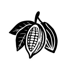 Cocoa beans sketch. Vector icon on white