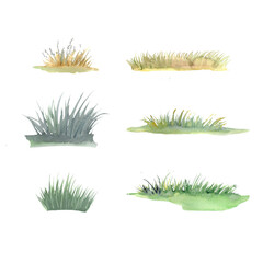 set illustration for landscape design, hand drawn watercolors, grass. Plant motifs for the garden.
