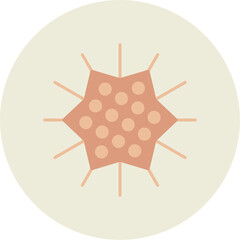 Sea Urchin Icon