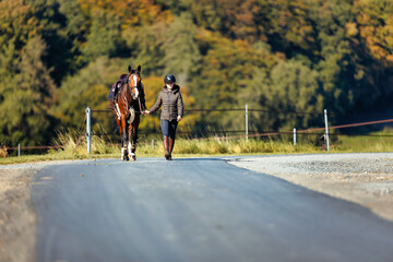 Girl rider goes riding with her horse ready to ride.