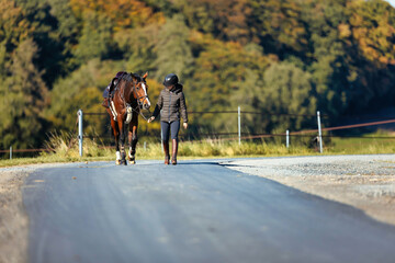 Girl rider goes riding with her horse ready to ride.