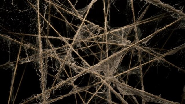 Macro dolly shot camera flies through sisal ropes covered with spider web, threads plexus lighted on black background, twine lines in dark, abstract chaotic interweaving, background for titles or logo