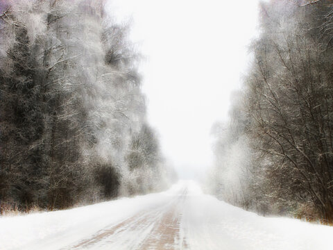 an image of a snow - covered road and trees in the middle of the day