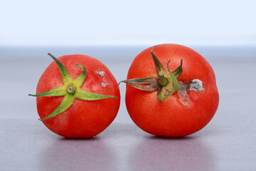 Two rotten red tomatoes.