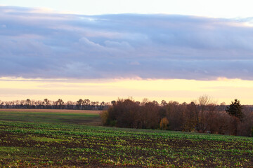 Landscape from an autumn field