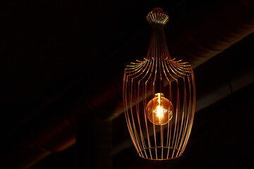 metal chandelier with light bulb