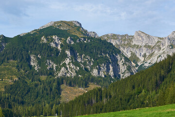 Fototapeta na wymiar Herbst im Nationalpark Gesäuse im österreichischen Bundesland Steiermark