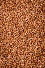 Large grains of raw buckwheat porridge are brown in color