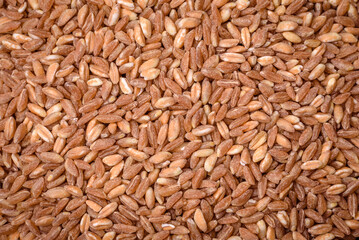 Large grains of wheat porridge are brown in color when raw