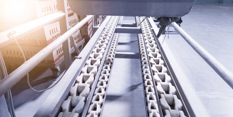 The conveyor of chick counter machine on industrial hatchery.