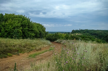 The month of August in the countryside on a rainy day.
