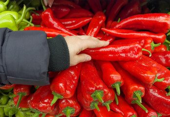 choosing peppers at the grocery store