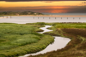 Salt marshes at The Zwin Nature Reserve, North Sea coast, Belgium-Netherlands border, sunset