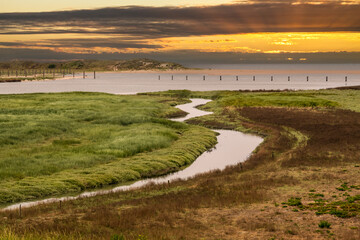 Salt marshes at The Zwin Nature Reserve, North Sea coast, Belgium-Netherlands border, sunset