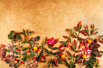 Berry-utumn and leaves composition on a beige background. - 726413060