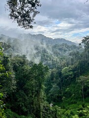 Fototapeta na wymiar landscape in Nyungwe National Park, Rwanda, with clouds over the indigenous rainforest and mountains