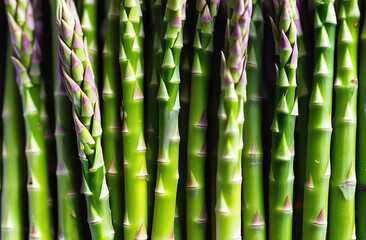 Fresh asparagus background.