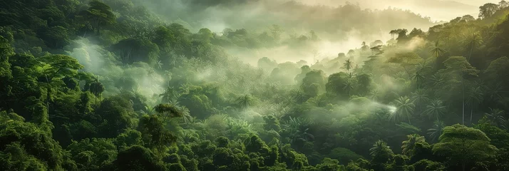 Deurstickers Panoramic aerial view of a jungle landscape at sunrise. © Simon