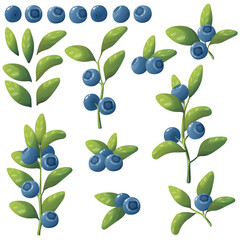 Set of fresh blueberries. Vector illustration of berries on branches with leaves and isolated on white background.