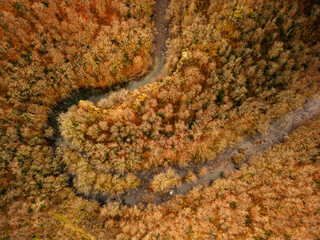 Aerial view of autumn landscape countryside
