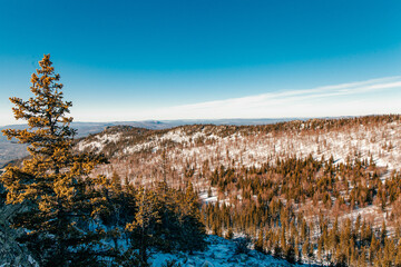 View on amazing winter landscape in mountain coniferous forest.