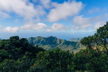Fototapeta na wymiar view from mount kalaa on a beautiful day on oahu in hawaii