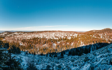View on amazing winter landscape in mountain coniferous forest.
