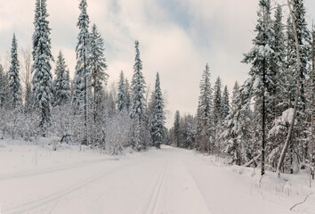 Beautiful natural environment with road for traveling, scenic picture of winter season forest with frost and snow.