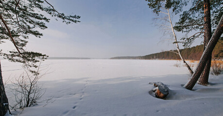 Winter snowy landscape with forest and field.