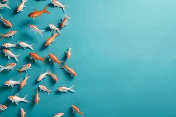 small fish abstract background with copy space, top view on light blue
