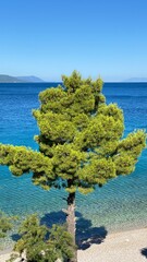 blue maybe green trees on shore, island in Croatia visible in distance