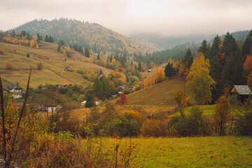 autumn in the mountains from campulung