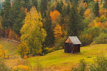 autumn landscape with a house