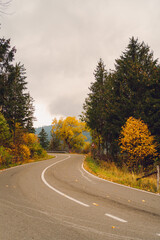 Fototapeta premium road in autumn