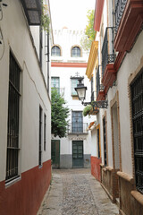 Fototapeta premium sevilla barrio de la judería calle 4M0A5584-as24