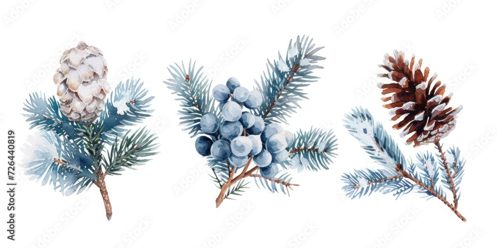 Poster A branch featuring three different types of pine cones. Suitable for nature-themed projects and botanical illustrations