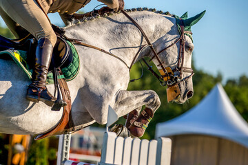 A photograph of a horse jumping over an obstacle