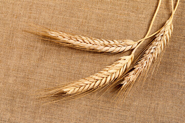 wheat ears on the table